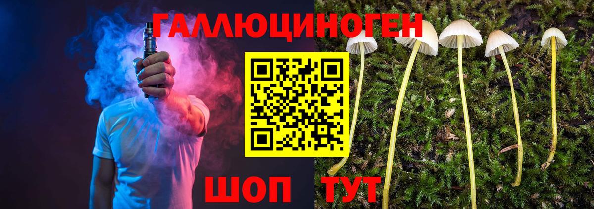 Псилоцибиновые грибы Cubensis Нижнекамск