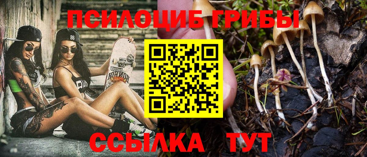 Галлюциногенные грибы Magic Shrooms  Вход с VPN  Нижнекамск  Галлюциногенные грибы Psilocybe 